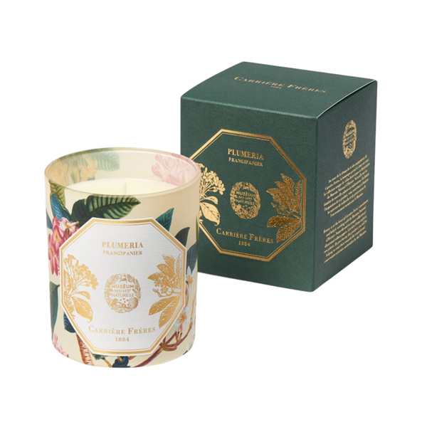 Carrière Frères Frangipani Candle