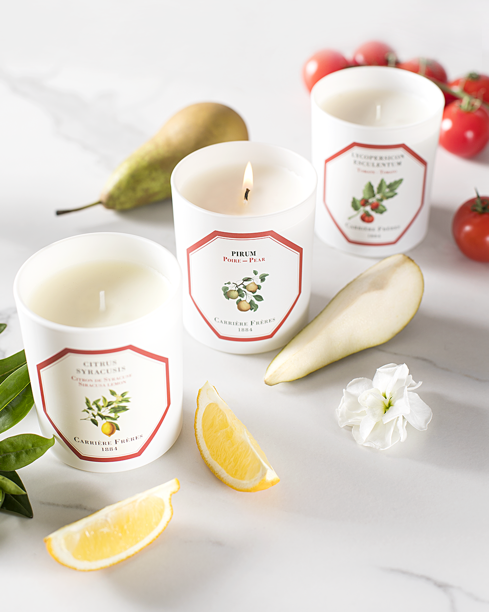 Styling with Stems: 5 Simple Ways to Bring Life to Any Room