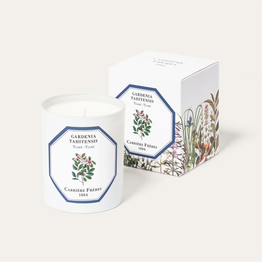 Carrière Frères Tiare Candle