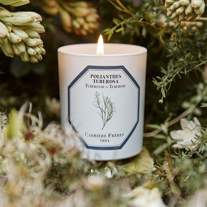 Carrière Frères Tuberose Candle