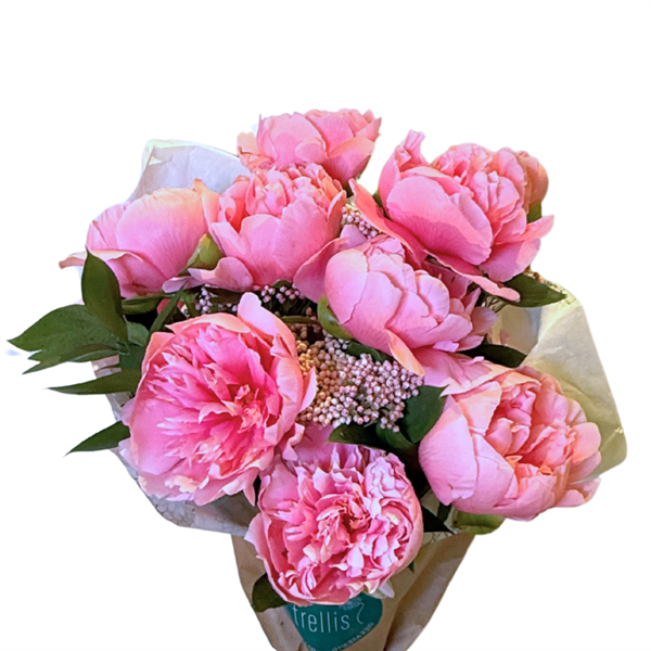 Mother's Day Peony Bouquet 2025